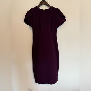 Calvin Klein Women’s Dress Dark Purple Size 2